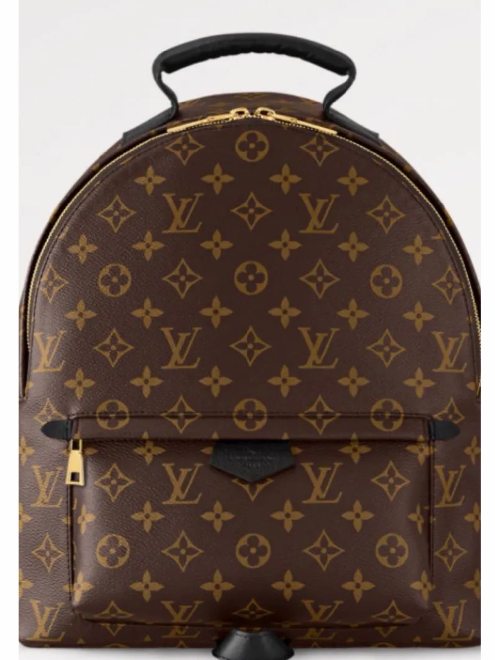 Louis Vuitton Palms Spring Brown Monogram Backpack MM